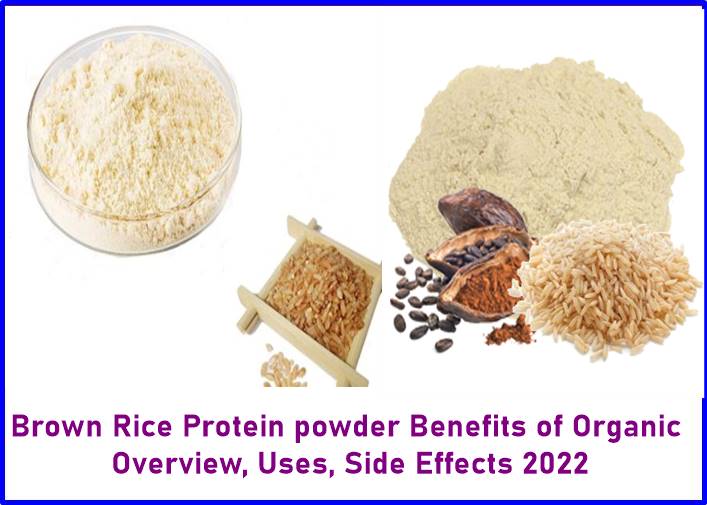 Brown Rice Protein