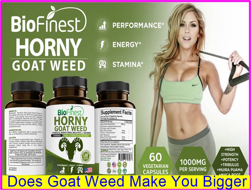 Does Goat Weed Make You Bigger