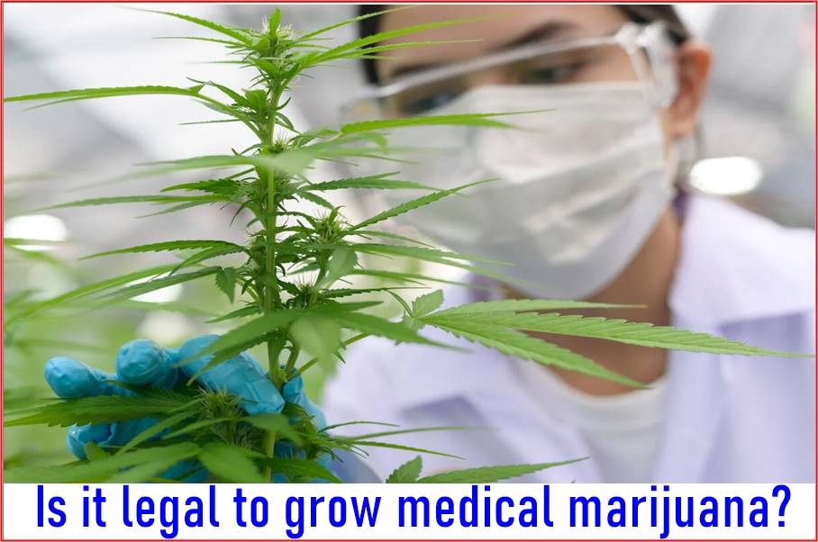 Is it legal to grow medical marijuana? 
