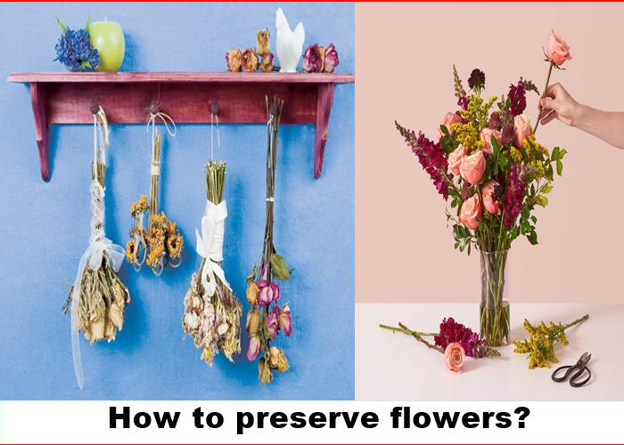 How to preserve flowers?