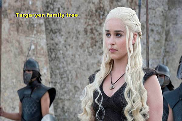 How is the whole Targaryen family tree explained?